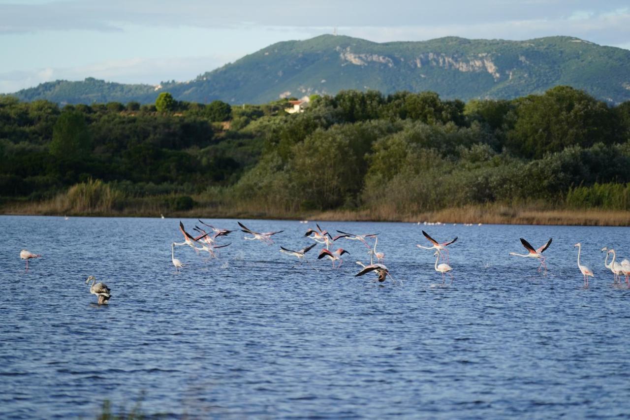 Stefanias Prasoudi Beach Ágios Matthaíos Esterno foto